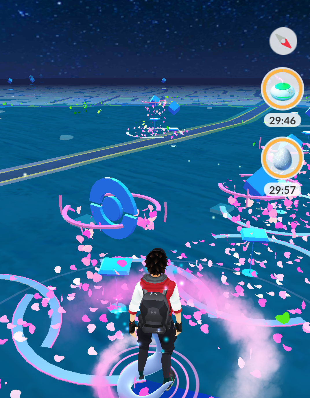 たくさんの野生ポケモンと出会う